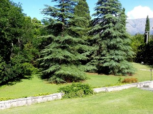suite-estandar-03-hotel-san-huberto-nono-cordoba (7)