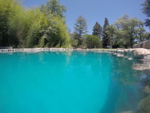 galeria-de-fotos-jardin-y-pileta-san-huberto-nono-cordoba (7)     