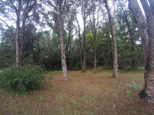 galeria-de-fotos-jardin-y-pileta-san-huberto-nono-cordoba (8)     