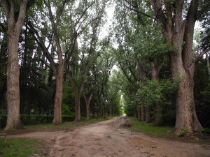 galeria-de-fotos-jardin-y-pileta-san-huberto-nono-cordoba (9)     
