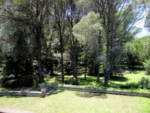 suite-estandar-04-hotel-san-huberto-nono-cordoba (6) 