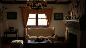 IMG_8240