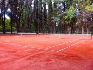 tenis-2